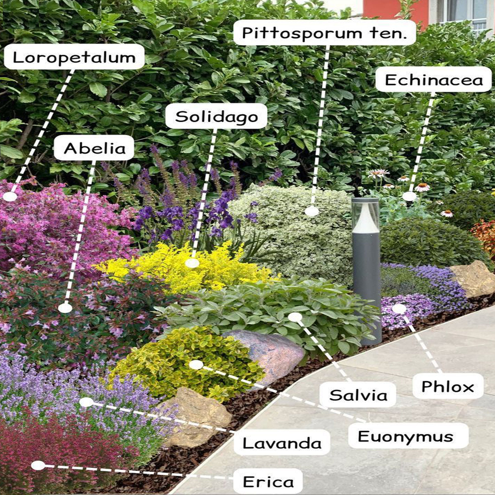 Custom Garden Design, Detailed Plant List (Digital Download)