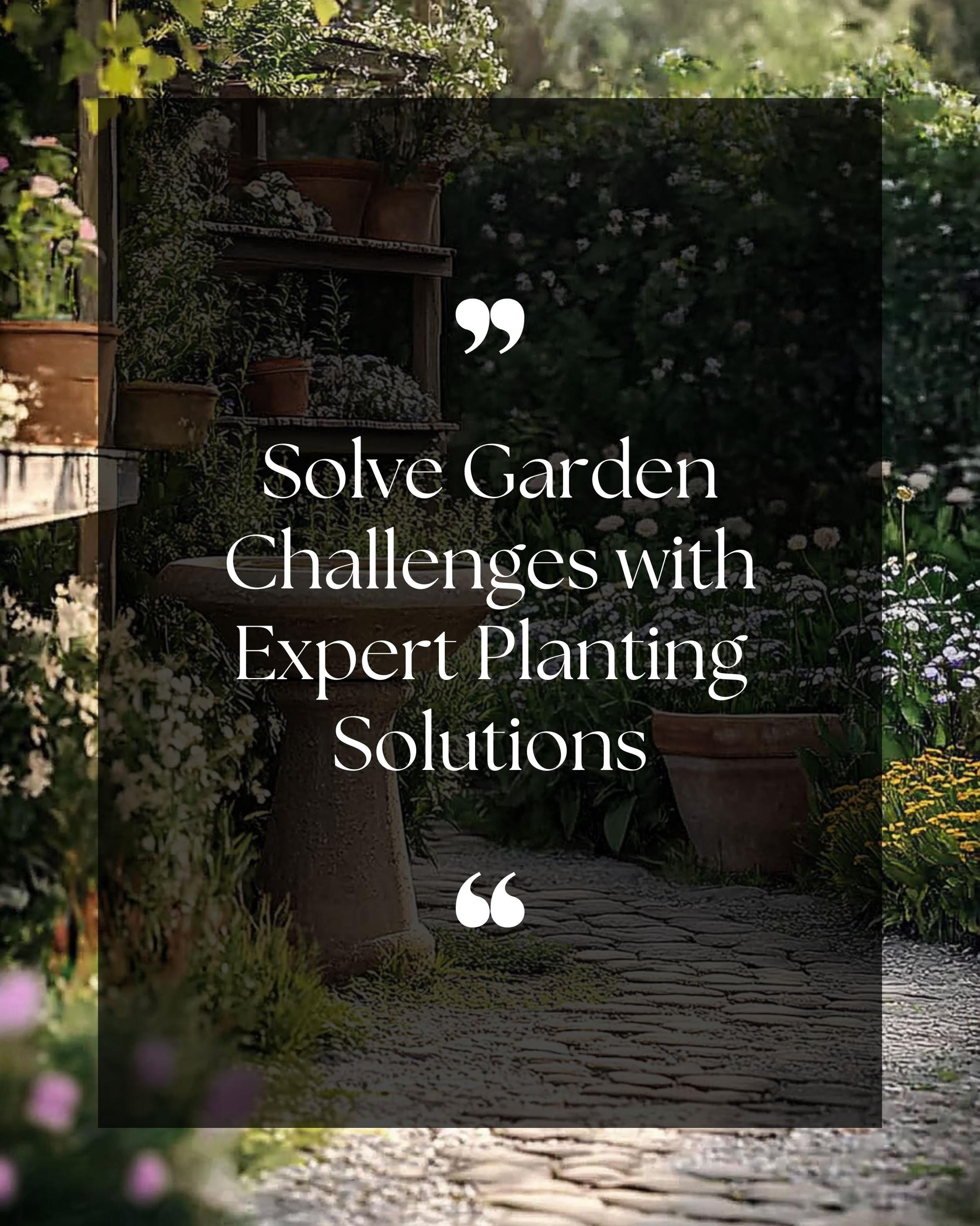 Personalized Garden Design Plan: Single Area Landscape Layout - Up to 500SF