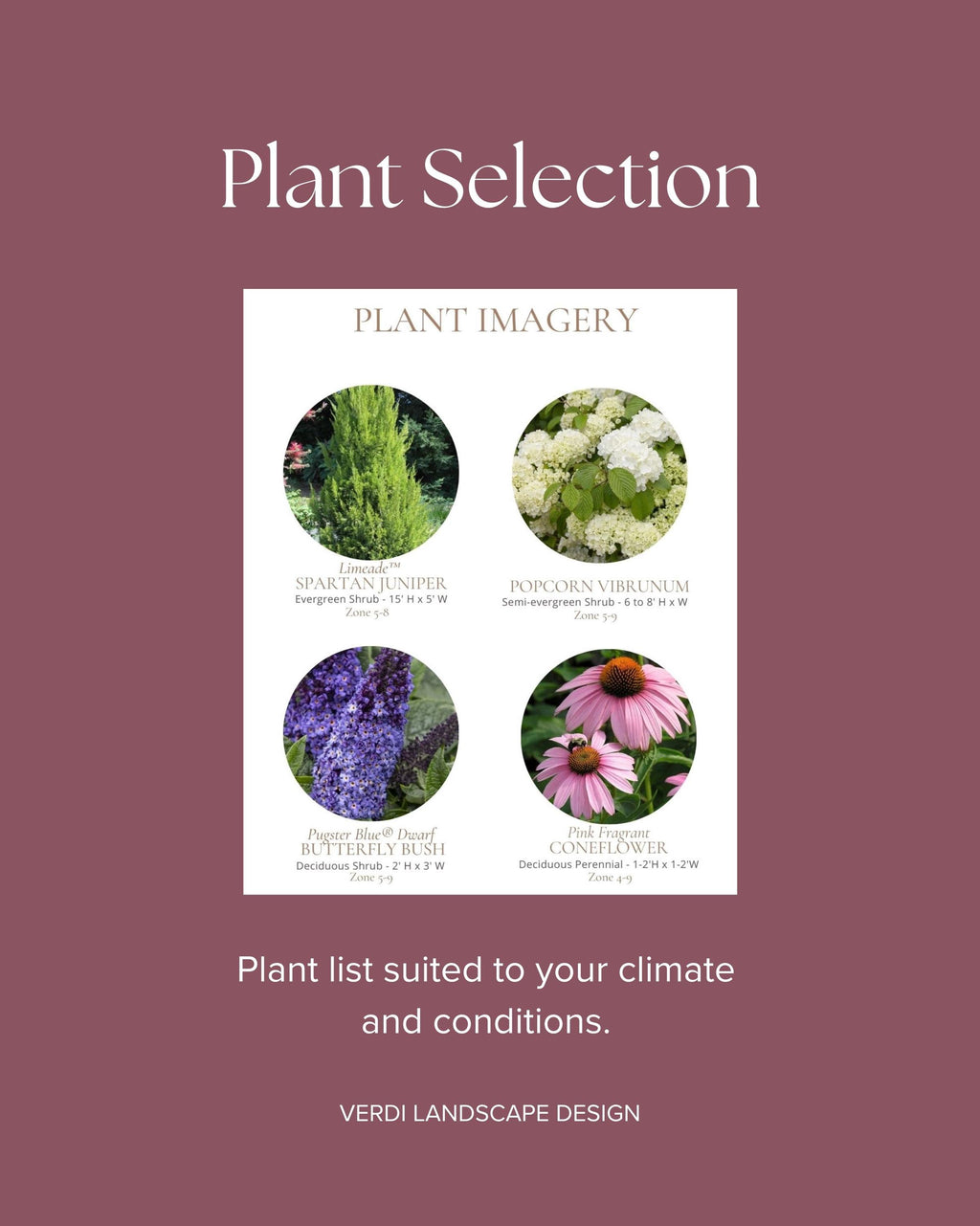 Personalized Garden Design Plan: Single Area Landscape Layout - Up to 500SF