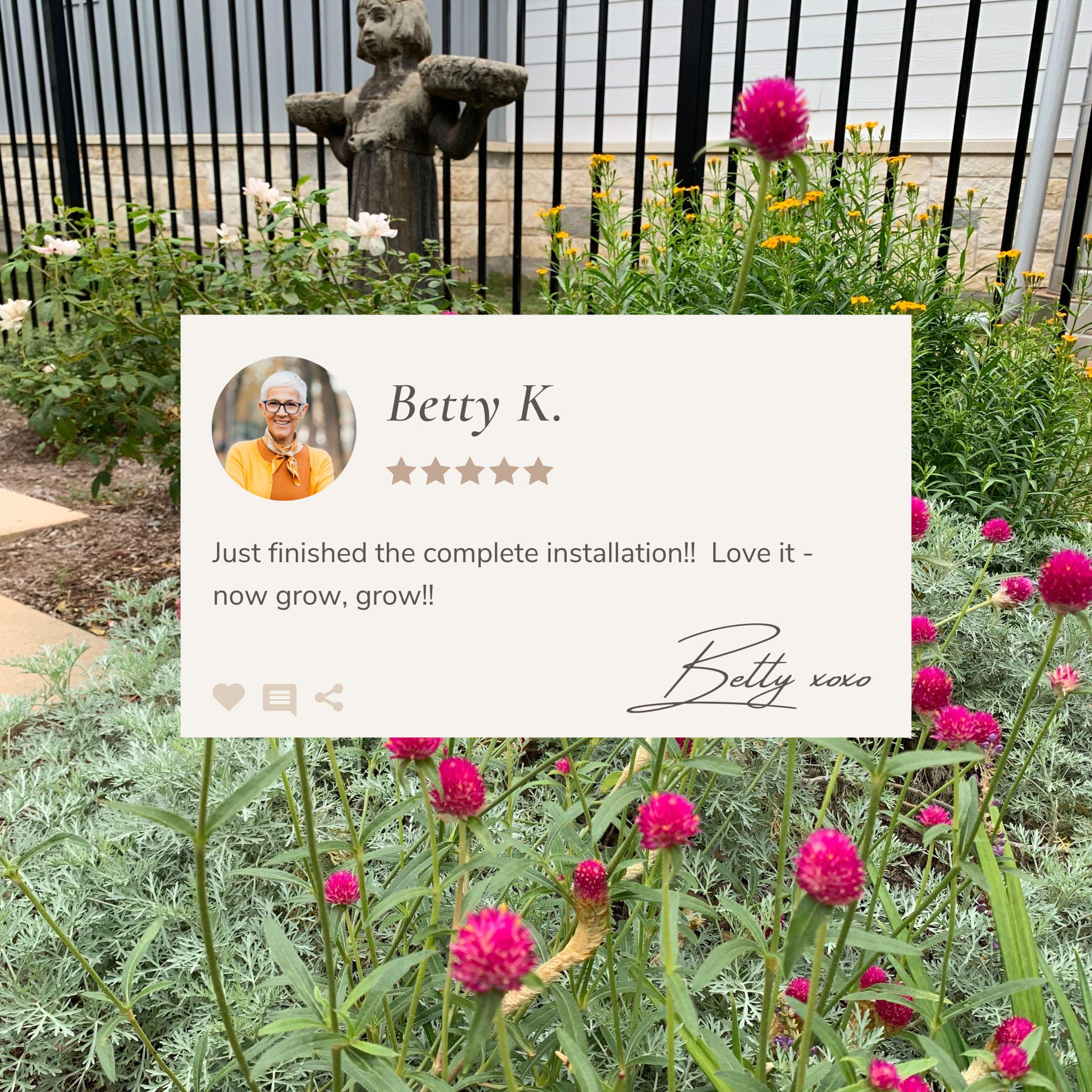 Personalized Garden Design Plan: Single Area Landscape Layout - Up to 500SF