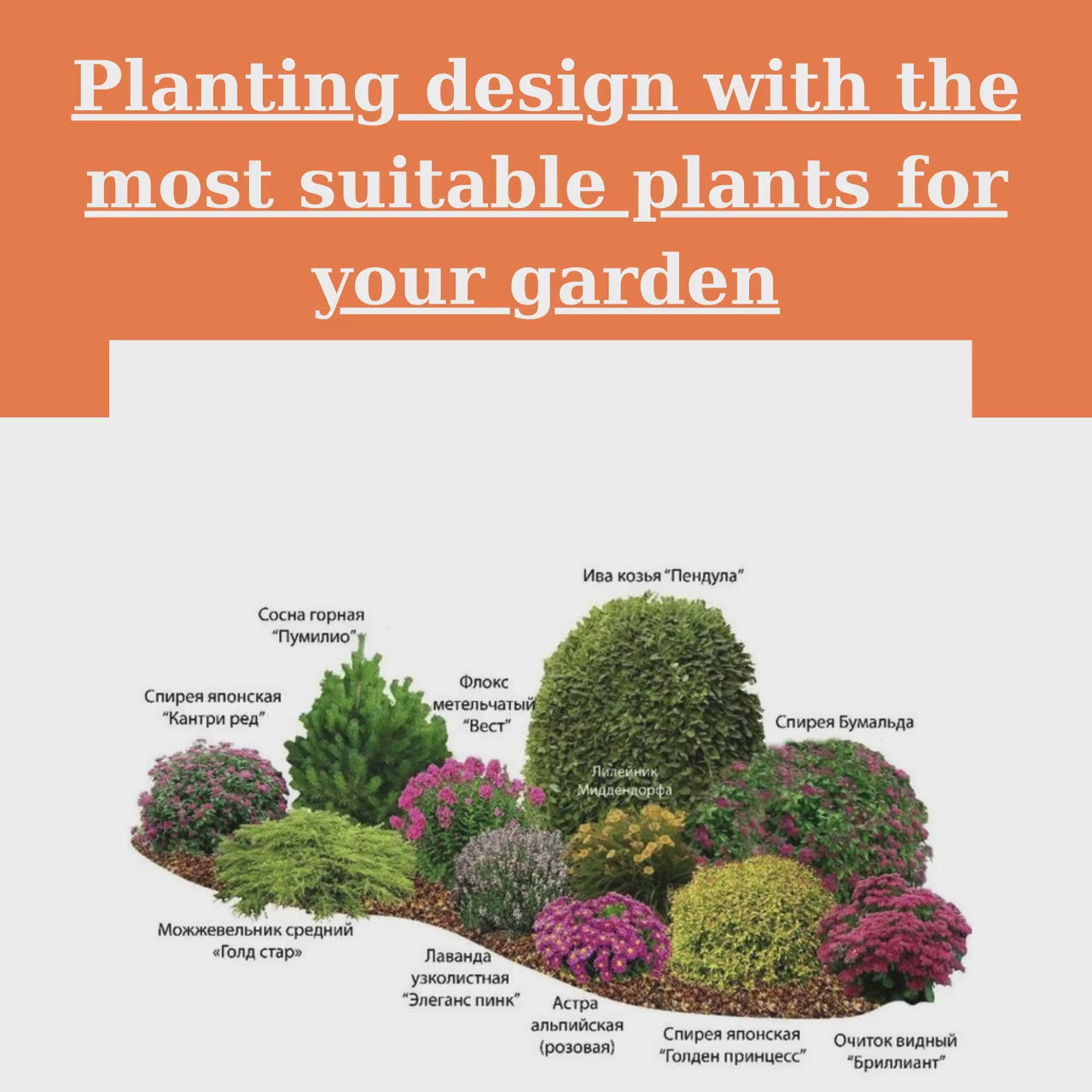 Custom Garden Design, Detailed Plant List (Digital Download)